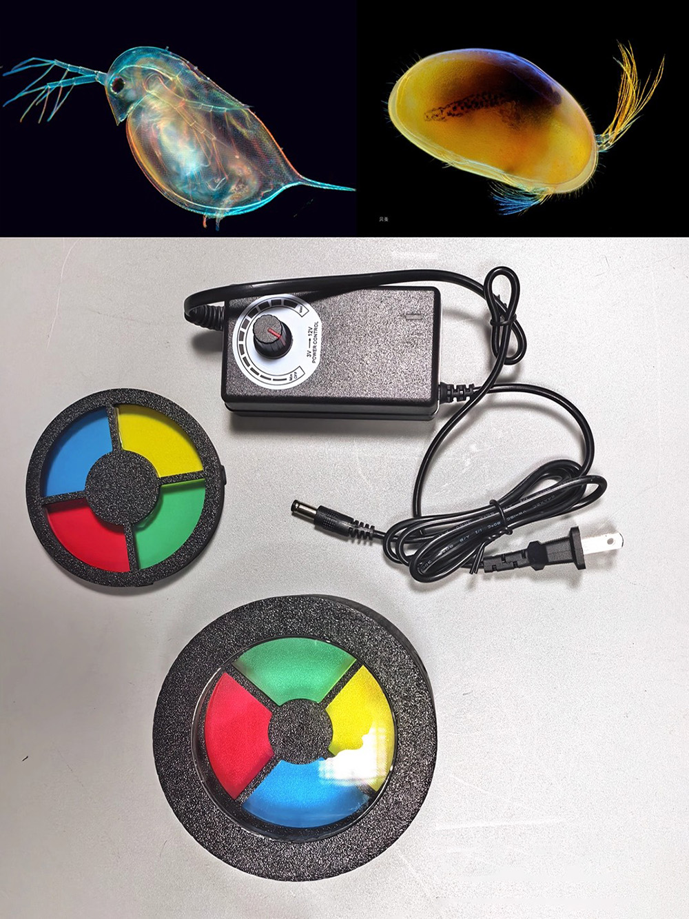 Lampa błyskowa Darkfield Macro – Photography Lighting Diy recenzja i cena
