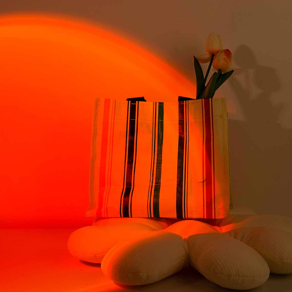 Projektor Zachodu Słońca z Pil – Photography Lighting Setup recenzja i cena